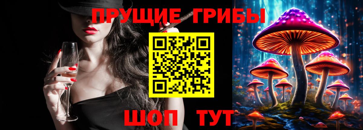 Вязники  Галлюциногенные грибы Cubensis  Вход с VPN 